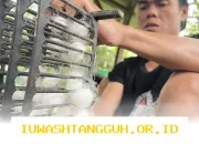 OJK Dorong Peningkatan Peran Penjaminan untuk UMKM dengan Porsi Pembiayaan Baru Capai 18,42% di Tahun 2026