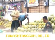 Omzet Pedagang Buah Kramat Jati Naik Berkat Suplai Bahan Makanan ke 25 Dapur Tahun 2026
