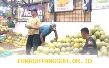 Omzet Pedagang Buah Kramat Jati Naik Berkat Suplai Bahan Makanan ke 25 Dapur Tahun 2026