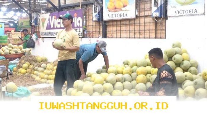 Omzet Pedagang Buah Kramat Jati Naik Berkat Suplai Bahan Makanan ke 25 Dapur Tahun 2026