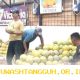 Omzet Pedagang Buah Kramat Jati Naik Berkat Suplai Bahan Makanan ke 25 Dapur Tahun 2026