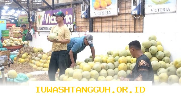 Omzet Pedagang Buah Kramat Jati Naik Berkat Suplai Bahan Makanan ke 25 Dapur Tahun 2026