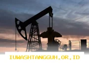 Optimalisasi Pengelolaan Aset Sektor Hulu Migas untuk Capai Target Lifting 2026 Mendatang
