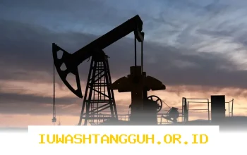 Optimalisasi Pengelolaan Aset Sektor Hulu Migas untuk Capai Target Lifting 2026 Mendatang