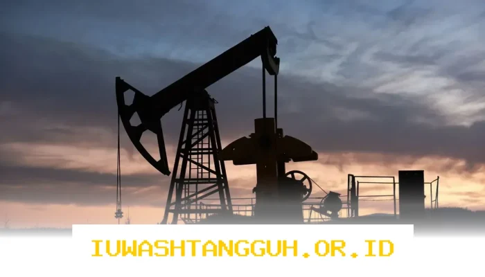 Optimalisasi Pengelolaan Aset Sektor Hulu Migas untuk Capai Target Lifting 2026 Mendatang