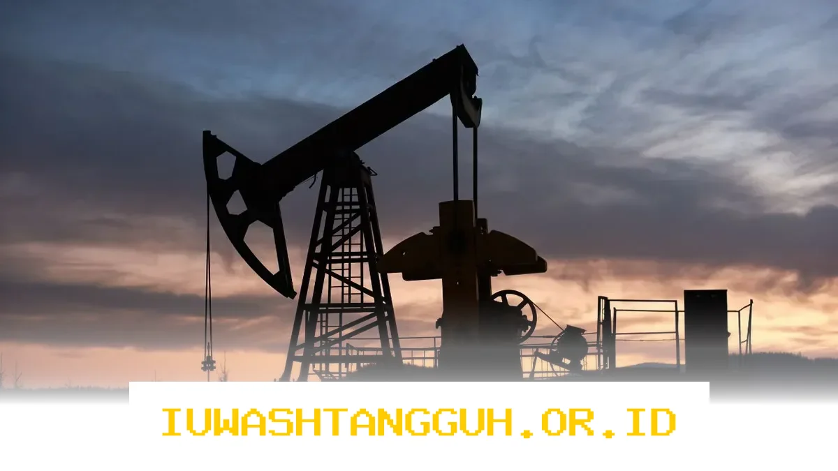 Optimalisasi Pengelolaan Aset Sektor Hulu Migas untuk Capai Target Lifting 2026 Mendatang