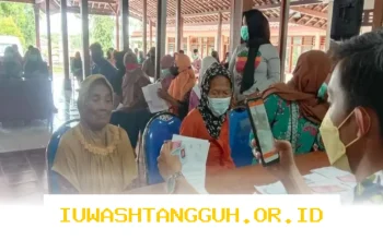 Panduan Cara Mengecek Status Pencairan Bansos PKH dan BPNT Tahun 2026 yang Belum Cair