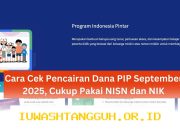 Panduan Cek Jadwal Pencairan Dana PIP 2026 Pakai NIK Lewat Laman Resmi Secara Praktis