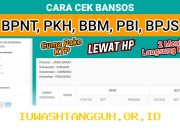 Panduan Lengkap Cara Cek Status Pencairan Bansos PKH BPNT PIP dan PBI JKN di Mei 2026