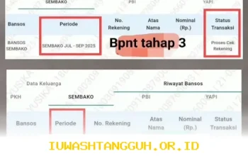 Panduan Lengkap Cek Status Pencairan Dana Bansos PKH dan BPNT Terbaru Selama Tahun 2026