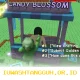 Panduan Lengkap Grow a Garden Update 2026, Tips Dapatkan Candy Blossom, Rangkuman Event Menarik & Informasi Tambahan Lainnya