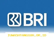 Panduan Lengkap Langkah Praktis Membeli Saham BBRI Secara Online yang Aman di 2026