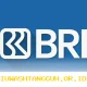 Panduan Lengkap Langkah Praktis Membeli Saham BBRI Secara Online yang Aman di 2026
