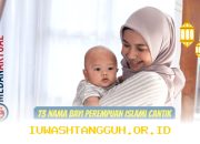 Panduan Lengkap Melihat Status Penerima Bansos Kemensos 2026 Pakai NIK KTP Secara Online