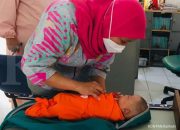 Panduan Lengkap Mengurus Pendaftaran BPJS Kesehatan Bayi Baru Lahir di Tahun 2026 Ini