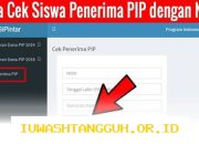 Panduan Praktis Melacak Status Penerima PIP 2026 Pakai NIK serta NISN Lewat Smartphone