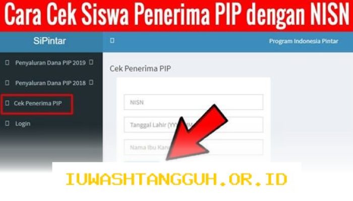 Panduan Praktis Melacak Status Penerima PIP 2026 Pakai NIK serta NISN Lewat Smartphone
