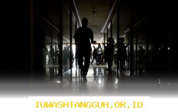 Pasokan Listrik PLN Kembali Stabil Setelah Gangguan Awal 2026