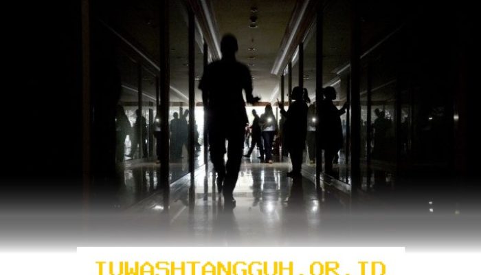Pasokan Listrik PLN Kembali Stabil Setelah Gangguan Awal 2026