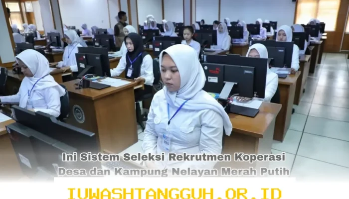 Pegawai BUMN Wajib Tahu Sistem Seleksi Koperasi Desa dan KNMP yang Berlaku hingga 2026