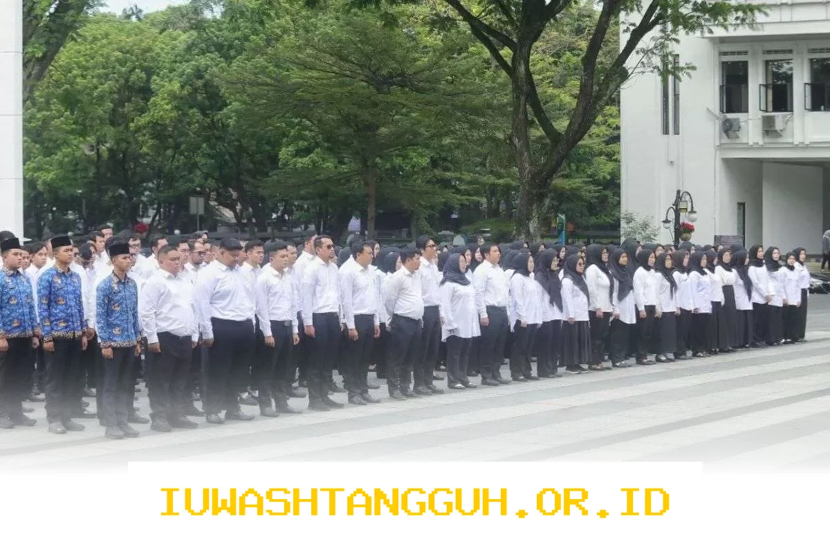 Peluang Menjadi PPPK 2026 Membawa Perubahan Gaji Lebih Baik dan Stabil