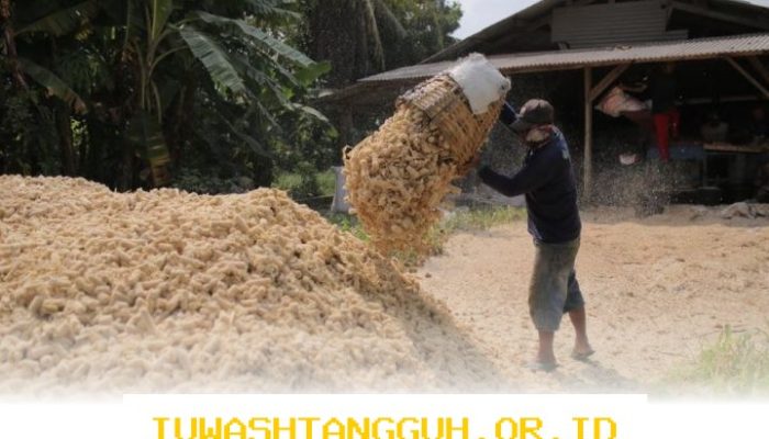 Pemanfaatan 5 Sumber Biomassa Efektif Wujudkan Kemandirian Ekonomi Desa di Tahun 2026