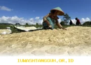 Pemberdayaan Perempuan Menuju Ekonomi Kuat Era Digital 2026