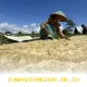 Pemberdayaan Perempuan Menuju Ekonomi Kuat Era Digital 2026