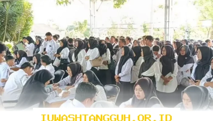 Pemda Ambil Langkah Strategis Cegah PHK Massal dan Lindungi Ribuan PPPK