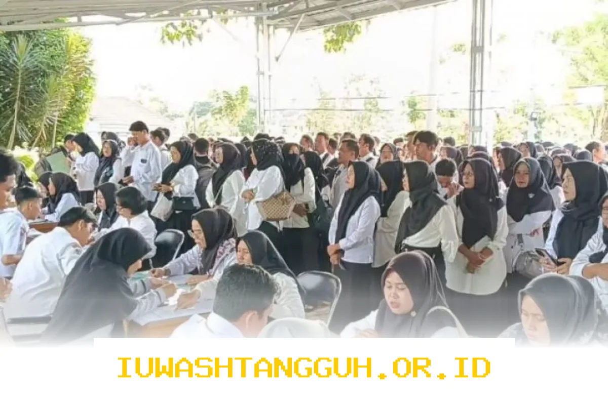 Pemda Ambil Langkah Strategis Cegah PHK Massal dan Lindungi Ribuan PPPK