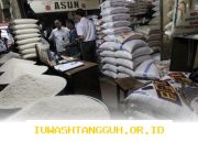 Pemerintah Serap 1,3 Juta Ton Beras dari Petani untuk Stabilisasi Harga Pangan Nasional