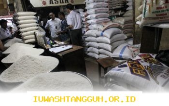 Pemerintah Serap 1,3 Juta Ton Beras dari Petani untuk Stabilisasi Harga Pangan Nasional