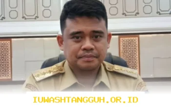 Pemprov Sumut Resmi Terapkan Sistem 50-50 WFH dan WFO Setiap Jumat Mulai 2026 untuk Tingkatkan Produktivitas dan Kesejahteraan Pegawai