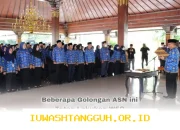 Penerapan WFH untuk ASN Resmi Dimulai pada 2026, 3 Golongan Ini Tetap Wajib WFO dengan Aturan Baru