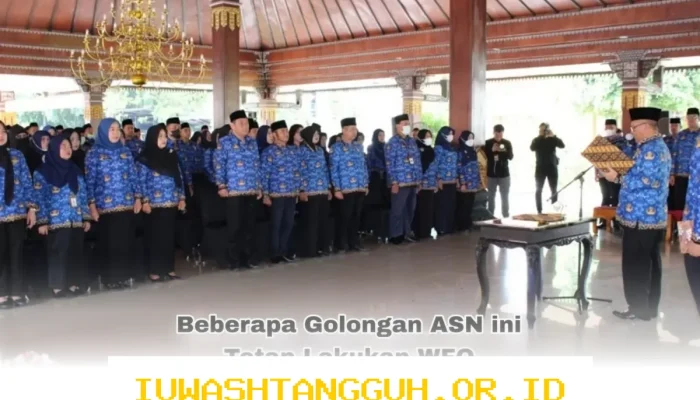 Penerapan WFH untuk ASN Resmi Dimulai pada 2026, 3 Golongan Ini Tetap Wajib WFO dengan Aturan Baru