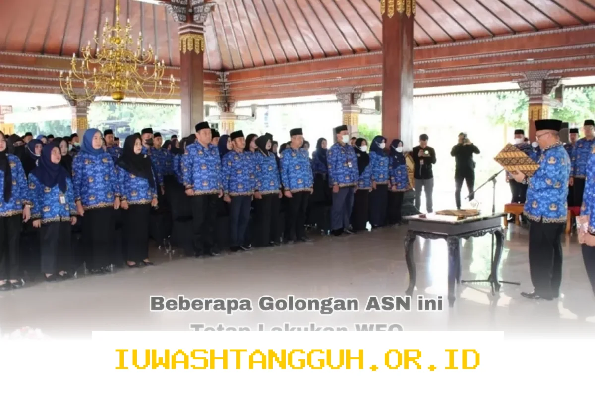 Penerapan WFH untuk ASN Resmi Dimulai pada 2026, 3 Golongan Ini Tetap Wajib WFO dengan Aturan Baru