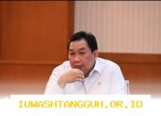 Penguatan Investor Domestik Menjadi Fokus Utama Kebijakan Ekonomi 2026