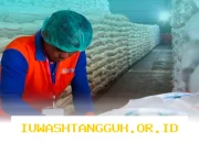 Penyaluran Bansos PKH dan BPNT Tahap 2 Berlanjut dengan Estimasi Sampai Mei 2026 Mendatang