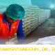 Penyaluran Bansos PKH dan BPNT Tahap 2 Berlanjut dengan Estimasi Sampai Mei 2026 Mendatang