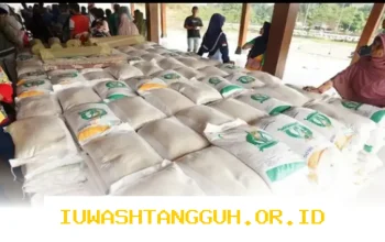 Penyaluran Bantuan Beras 20 Kg dan Minyak Goreng 4 Liter Tahun 2026 Segera Cair Merata