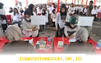 Perbandingan Gaji Kopdes dan CPNS 2026 Mana yang Lebih Menguntungkan?