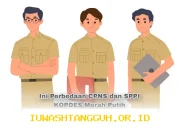 Perbandingan Karir CPNS vs SPPI KOPDES Merah Putih: Peluang dan Perbedaan 2026