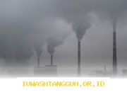 Perdagangan Karbon Indonesia Didorong Tumbuh dengan Aturan Baru 2026 Menuju Ekosistem yang Lebih Kuat dan Berkelanjutan