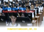Persiapan Rekrutmen CPNS 2026 Mengisi Kekosongan ASN, Apakah Sudah Matang?