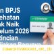 Pilihan Praktis Pantau Pembayaran Iuran BPJS Kesehatan yang Update di Tahun 2026
