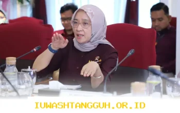 PPPK 2026 Bisa Dicopot Tanpa Putusan Resmi Meski Kontrak Masih Aktif Sampai Kapan Saja