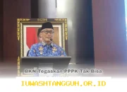 PPPK Bisa Diberhentikan Karena 5 Alasan Ini, Bukan hanya Soal PHK Massal di 2026 Menurut BKN