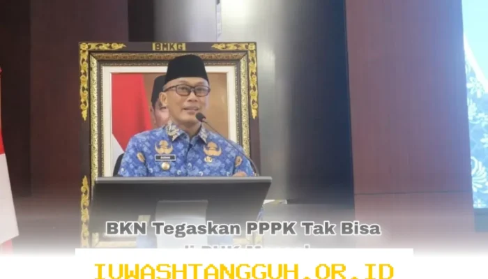 PPPK Bisa Diberhentikan Karena 5 Alasan Ini, Bukan hanya Soal PHK Massal di 2026 Menurut BKN