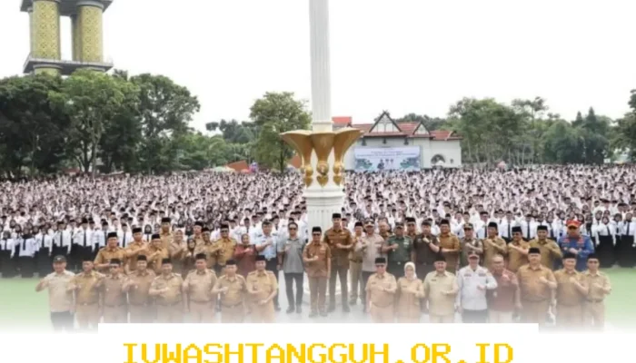 PPPK Paruh Waktu Mengeluh, Pemda Ragukan Kebijakan karena Takut Rugi di Tahun 2026 Ini!