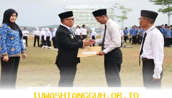 PPPK Tenaga Kontrak Akan Diputus Akibat Anggaran Pemda 2026 Terbatas? Ini Respons Resmi Kemendagri yang Tenangkan Pegawai